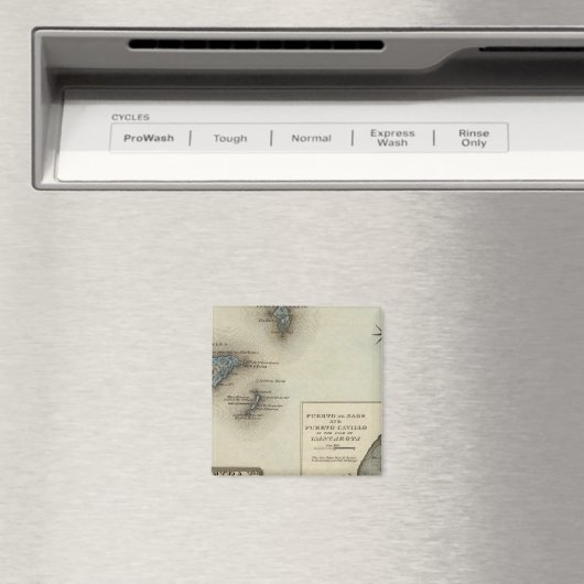 Madeira Ids Magneet (Insitu (Vaatwasser))