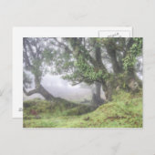Madeira - Laurel-boom in het mist briefkaart (Voorkant / Achterkant)