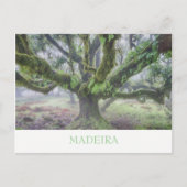 Madeira - Laurel tree briefkaart met tekst (Voorkant)