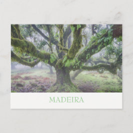 Madeira - Laurel tree briefkaart met tekst