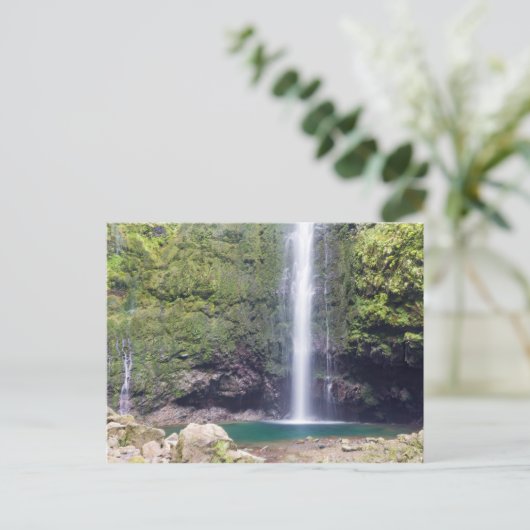 Madeira - Levada do Caldeirao Verde briefkaart (Staand voorkant)