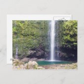Madeira - Levada do Caldeirao Verde briefkaart (Voorkant / Achterkant)