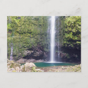 Madeira - Levada do Caldeirao Verde briefkaart