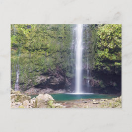 Madeira - Levada do Caldeirao Verde briefkaart