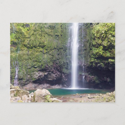 Madeira - Levada do Caldeirao Verde briefkaart (Voorkant)