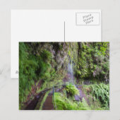 Madeira - Levada do Rei briefkaart (Voorkant / Achterkant)