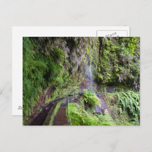 Madeira - Levada do Rei briefkaart (Voorkant / Achterkant)