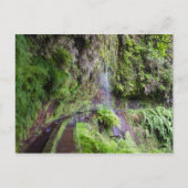 Madeira - Levada do Rei briefkaart (Voorkant)