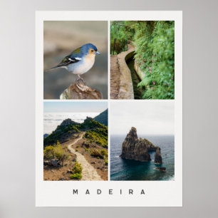 Madeira natuur en landschappen Reis foto Collage Poster