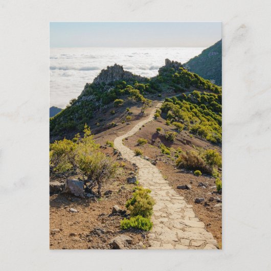 Madeira PR 1.2 hike to Pico Ruivo Briefkaart (Voorkant)