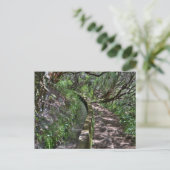 Madeira Road Way Briefkaart (Staand voorkant)