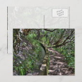 Madeira Road Way Briefkaart (Voorkant / Achterkant)