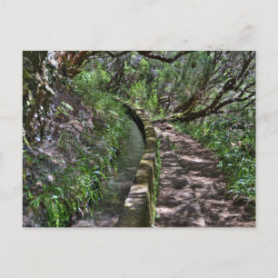 Madeira Road Way Briefkaart