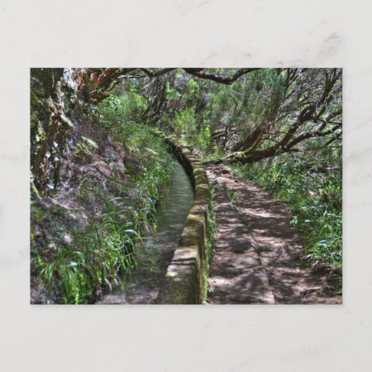 Madeira Road Way Briefkaart (Voorkant)