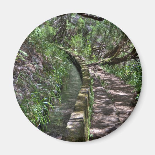 Madeira Road Way Magneet (Voorkant)