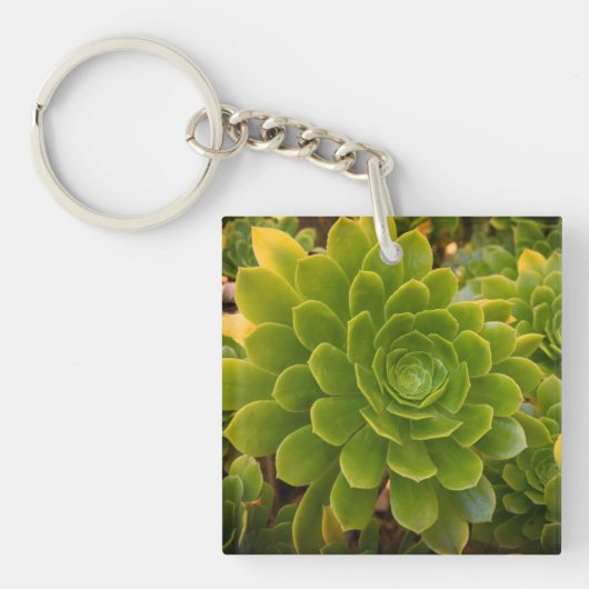 Madeira's Green Embrace Sleutelhanger (voorkant)