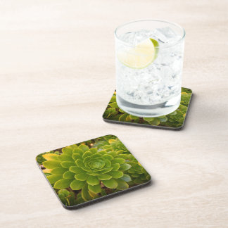 Madeira's Groene Omarming Bier Onderzetter