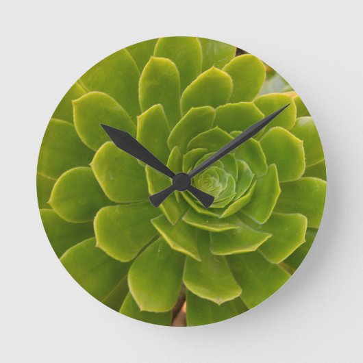 Madeira's Groene Omarming Ronde Klok (Voorkant)