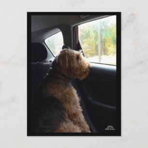 Madeleine neemt een drive Briefkaart