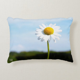 Madelief rechtop geisoleerd in de natuur. accent kussen