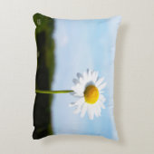 Madelief rechtop geisoleerd in de natuur. accent kussen (Achterkant (Verticaal))