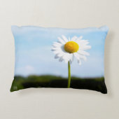 Madelief rechtop geisoleerd in de natuur. accent kussen (Achterkant)