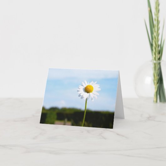 Madelief rechtop geisoleerd in de natuur. bedankkaart (Voorkant)