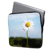 Madelief rechtop geisoleerd in de natuur. laptop sleeve (Voorkant Links)