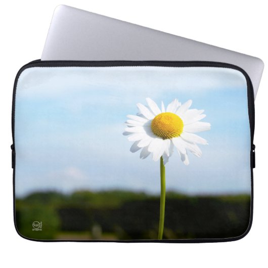 Madelief rechtop geisoleerd in de natuur. laptop sleeve (Voorkant)