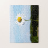 Madelief rechtop geisoleerd in de natuur. legpuzzel (Verticaal)