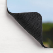 Madelief rechtop geisoleerd in de natuur. muismat (Hoek)