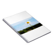 Madelief rechtop geisoleerd in de natuur. notitieboek (Rechterzijde)