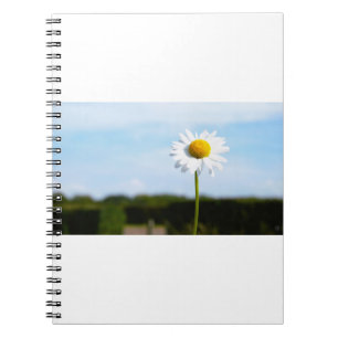 Madelief rechtop geisoleerd in de natuur. notitieboek