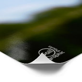 Madelief rechtop geisoleerd in de natuur. perfect poster (Hoek)