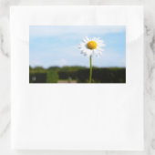 Madelief rechtop geisoleerd in de natuur. rechthoekige sticker (Tas)