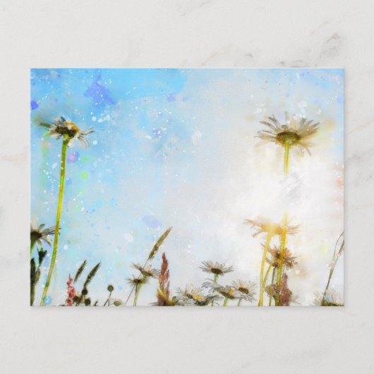 Madeliefje  -     - Acrylprint Briefkaart (Voorkant)