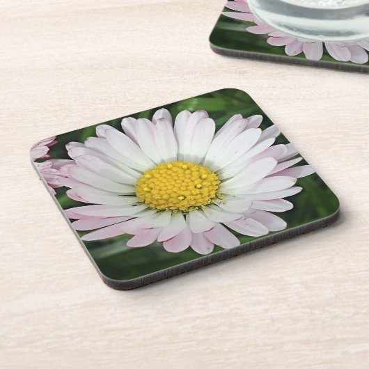 madeliefje bier onderzetter (Linkerzijde)