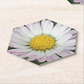  madeliefje kartonnen onderzetters (Schuin)