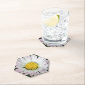  madeliefje kartonnen onderzetters (Insitu)