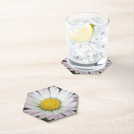  madeliefje kartonnen onderzetters (Insitu)