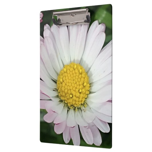  madeliefje klembord (Links)