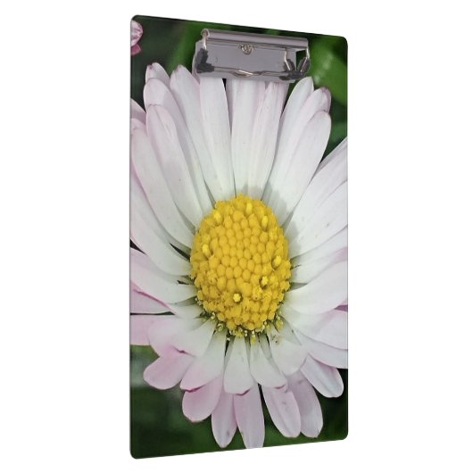  madeliefje klembord (Rechts)