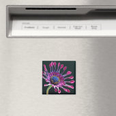 madeliefje liefde magneet (Insitu (Vaatwasser))