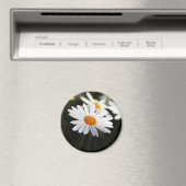 Madeliefje Magneet (Insitu (Vaatwasser))