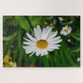 Madeliefje met waterpuzzel legpuzzel (Horizontaal)