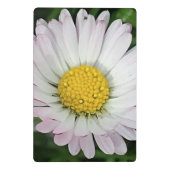  madeliefje mini klembord (Achterkant)