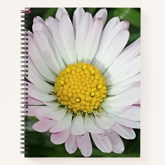  madeliefje notitieboek (Voorkant)