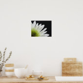 Madeliefje op zwart poster (Keuken)
