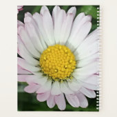 madeliefje planner (Achterkant)