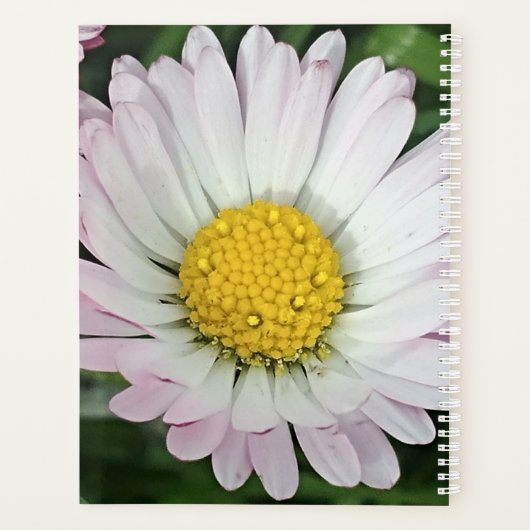 madeliefje planner (Achterkant)